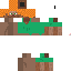 Texture for p