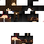 Texture for kitty248