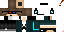 Texture for lupixel