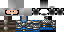 Texture for ninja