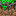Texture for mycelium_side