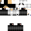 Texture for reerfdvr