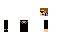 Texture for terminator