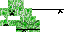 Texture for creeper ninja