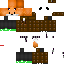 Texture for fx1