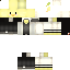 Texture for ducc with shade