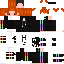 Texture for geskko