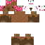 Texture for Cabybara in Srawberry hat