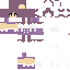 Texture for shulker