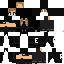 Texture for Taylor Swift Reputation Stadium Tour