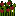 Texture for tomatehaut