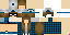 Texture for SilaceJay
