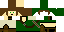 Texture for Link