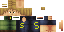 Texture for ds