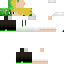 Texture for Creeper