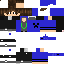 Texture for BeeKing
