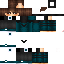 Texture for steve
