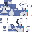 Texture for nqwpskin