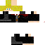 Texture for griffindor boy
