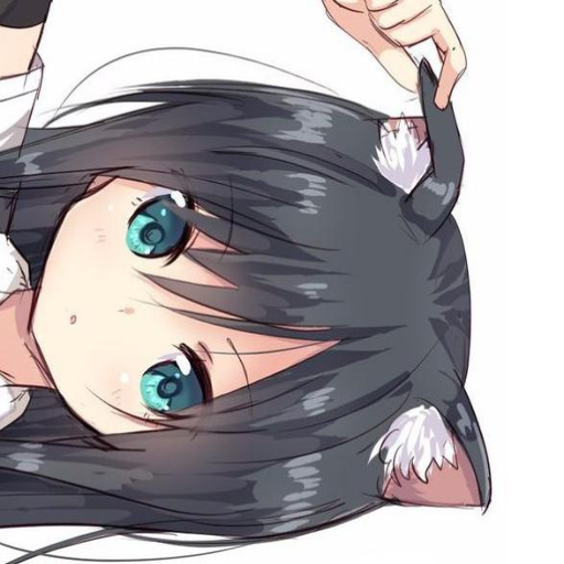 Texture for bed_head_top.png