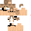 Texture for ds