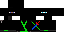 Texture for Ninja