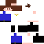 Texture for steksss