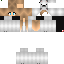 Texture for steve