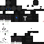 Texture for nach wonter