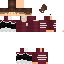 Texture for Steve