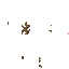 Texture for dfg