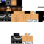 Texture for leo367