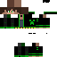 Texture for Steve