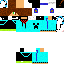 Texture for sneik