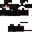 Texture for 767