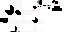 Texture for white_splotched