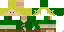 Texture for Link