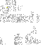 Texture for Blank