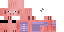 Texture for Pat the pig