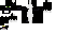 Texture for sdf