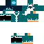 Texture for ss