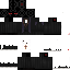 Texture for priest