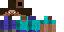 Texture for steve