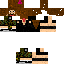 Texture for darrell