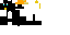 Texture for Piguin