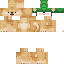 Texture for 亀
