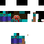 Texture for robin