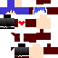 Texture for louis