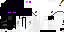 Texture for enderguy