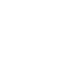 Texture for Words